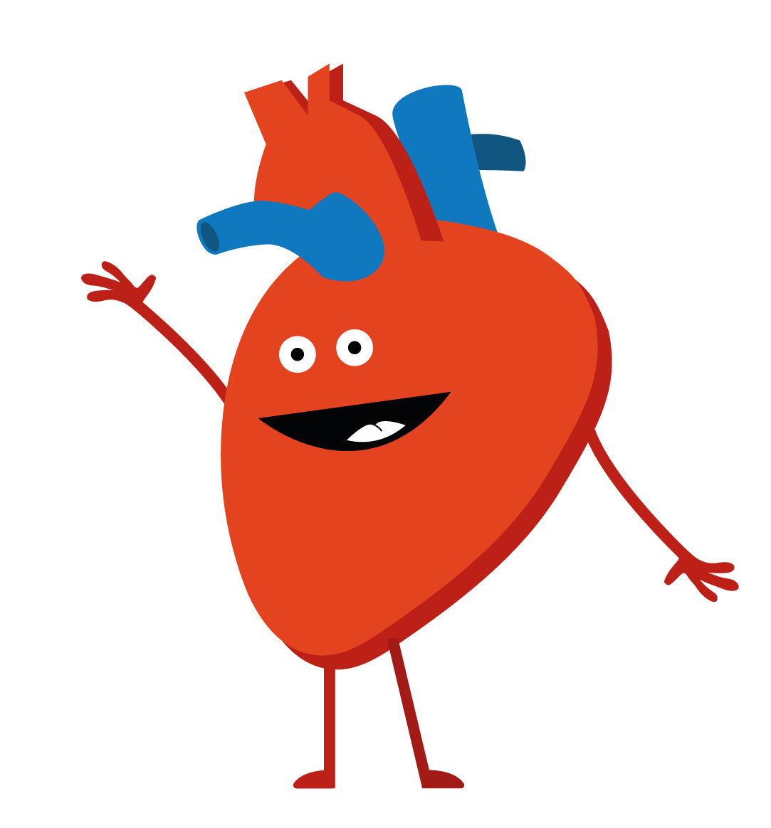 Hjärt-kärlsystemets huvuduppgift är att föra ut näringsämnen och syre till kroppens alla vävnader och organ.