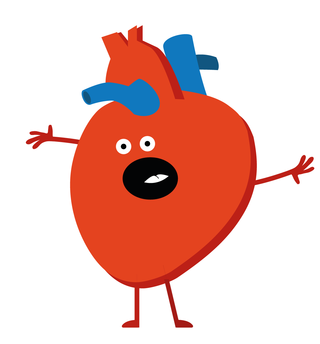 Hjärt-kärlsystemets huvuduppgift är att föra ut näringsämnen och syre till kroppens alla vävnader och organ.